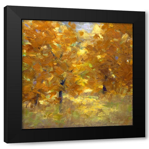 Cottonwoods Black Modern Wood Framed Art Print by Finch, Sheila