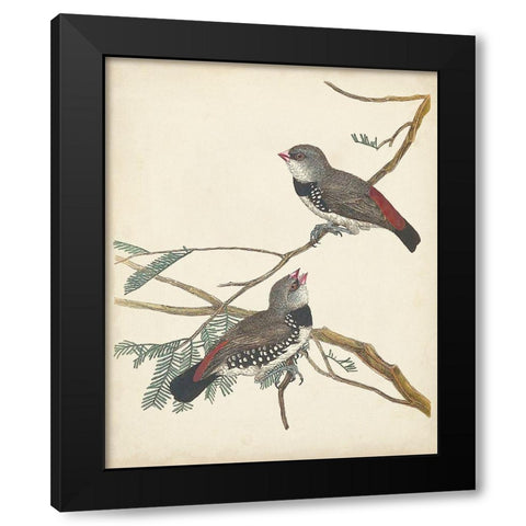 Graceful Birds I Black Modern Wood Framed Art Print with Double Matting by Vision Studio