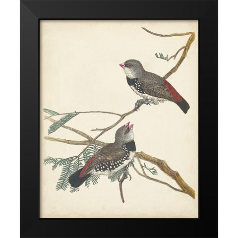 Graceful Birds I Black Modern Wood Framed Art Print by Vision Studio