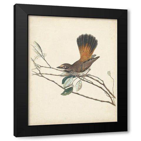 Graceful Birds II Black Modern Wood Framed Art Print by Vision Studio