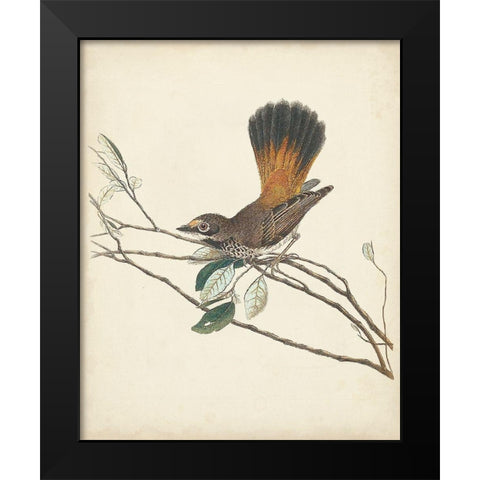 Graceful Birds II Black Modern Wood Framed Art Print by Vision Studio