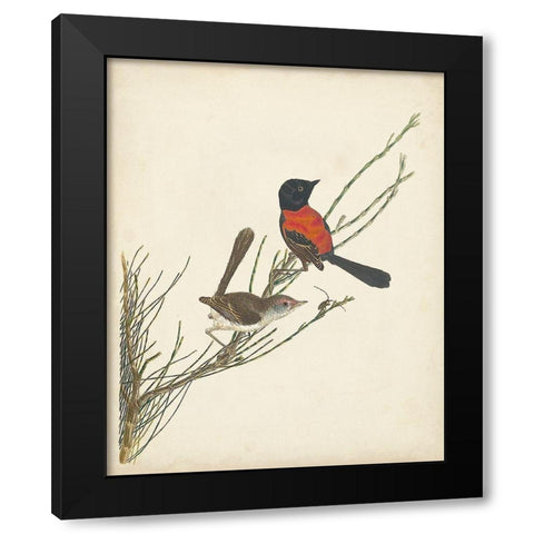 Graceful Birds III Black Modern Wood Framed Art Print with Double Matting by Vision Studio