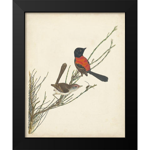 Graceful Birds III Black Modern Wood Framed Art Print by Vision Studio