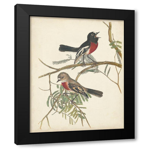 Graceful Birds IV Black Modern Wood Framed Art Print by Vision Studio