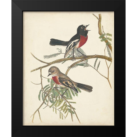 Graceful Birds IV Black Modern Wood Framed Art Print by Vision Studio