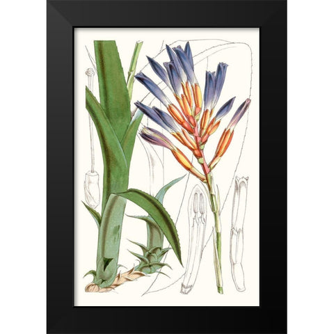 Tropical Plants I Black Modern Wood Framed Art Print by Curtis