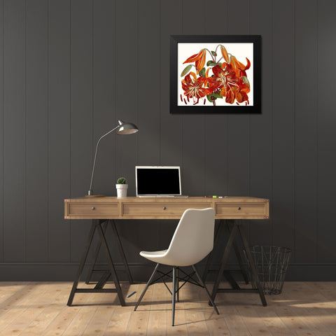 Striking Coral Botanicals II Black Modern Wood Framed Art Print by Curtis