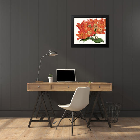 Striking Coral Botanicals III Black Modern Wood Framed Art Print by Curtis