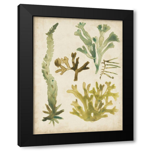 Vintage Sea Fronds I Black Modern Wood Framed Art Print with Double Matting by Vess, June Erica