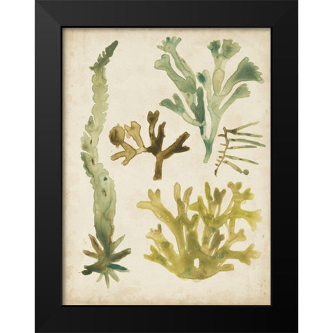Vintage Sea Fronds I Black Modern Wood Framed Art Print by Vess, June Erica