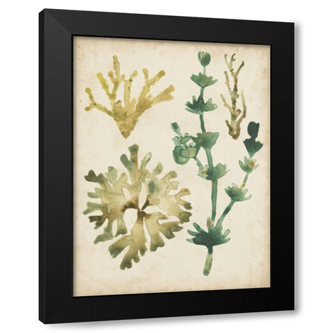 Vintage Sea Fronds II Black Modern Wood Framed Art Print by Vess, June Erica
