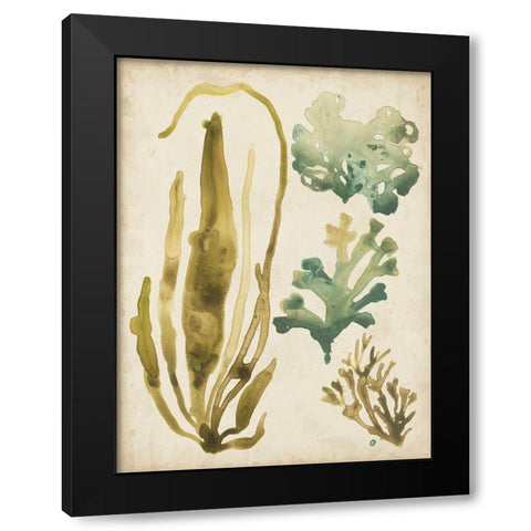Vintage Sea Fronds III Black Modern Wood Framed Art Print by Vess, June Erica