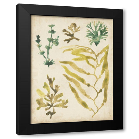 Vintage Sea Fronds IV Black Modern Wood Framed Art Print by Vess, June Erica