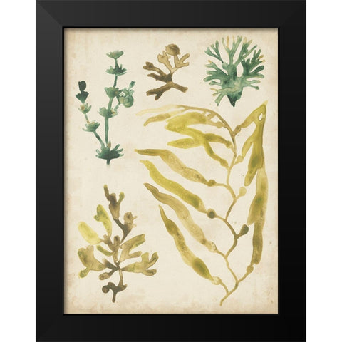 Vintage Sea Fronds IV Black Modern Wood Framed Art Print by Vess, June Erica