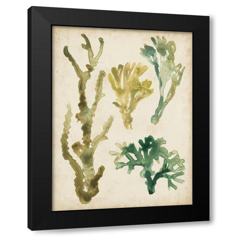 Vintage Sea Fronds V Black Modern Wood Framed Art Print with Double Matting by Vess, June Erica