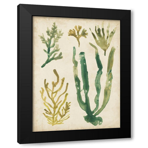 Vintage Sea Fronds VI Black Modern Wood Framed Art Print with Double Matting by Vess, June Erica