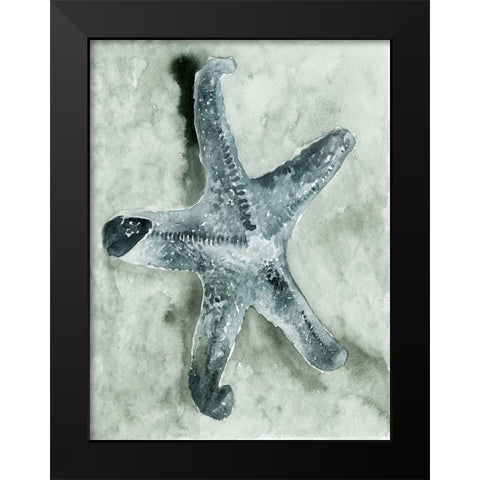 Aquatic I Black Modern Wood Framed Art Print by Stellar Design Studio