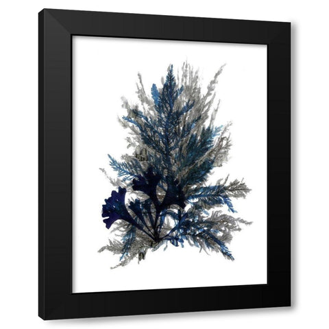 Ocean Bloom II Black Modern Wood Framed Art Print with Double Matting by Stellar Design Studio