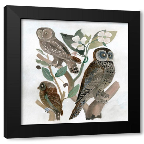 Traditional Owls II Black Modern Wood Framed Art Print with Double Matting by Stellar Design Studio