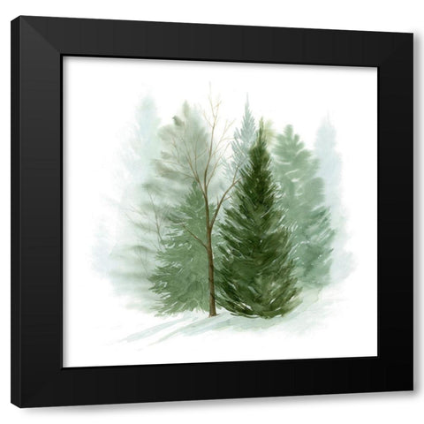 Walk in the Woods I Black Modern Wood Framed Art Print with Double Matting by Popp, Grace