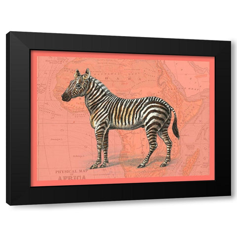 African Animals on Coral IV Black Modern Wood Framed Art Print with Double Matting by Studio W