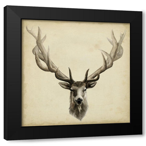 Triptych Elk Square Black Modern Wood Framed Art Print with Double Matting by Popp, Grace