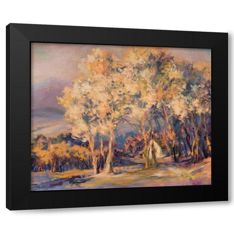 Natures Morning II Black Modern Wood Framed Art Print with Double Matting by Kiggins, Debbie
