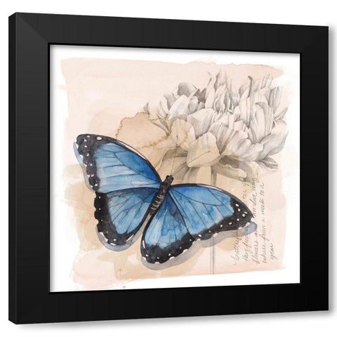 Shadow Box Butterfly II Black Modern Wood Framed Art Print by Popp, Grace