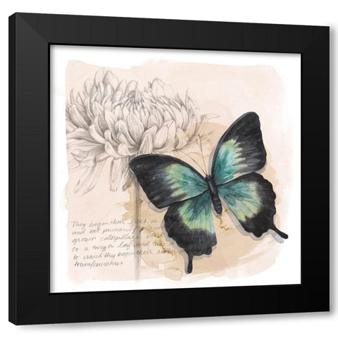 Shadow Box Butterfly III Black Modern Wood Framed Art Print with Double Matting by Popp, Grace