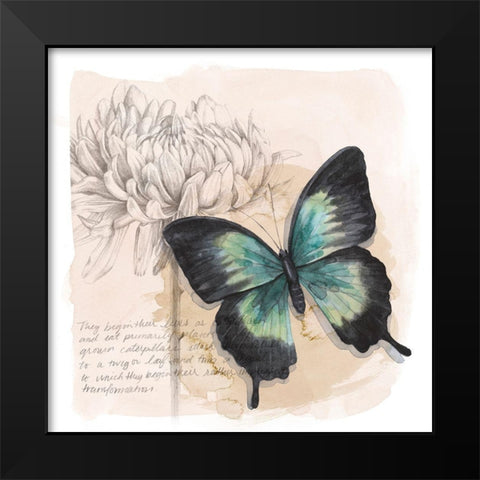 Shadow Box Butterfly III Black Modern Wood Framed Art Print by Popp, Grace