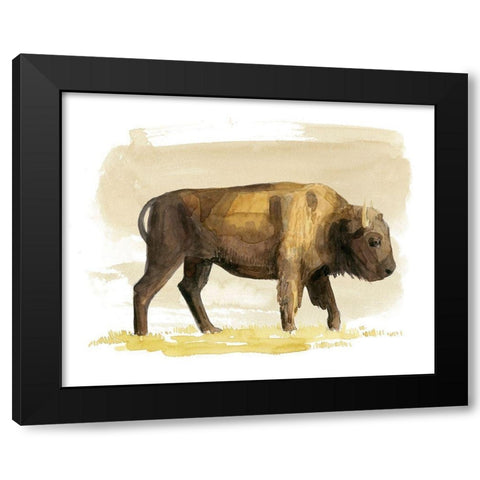 Bison Watercolor Sketch I Black Modern Wood Framed Art Print with Double Matting by Popp, Grace