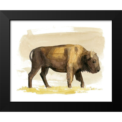 Bison Watercolor Sketch I Black Modern Wood Framed Art Print by Popp, Grace