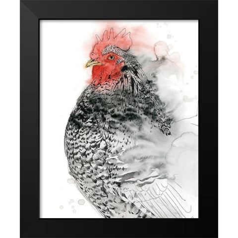 Plymouth Rooster I Black Modern Wood Framed Art Print by Popp, Grace