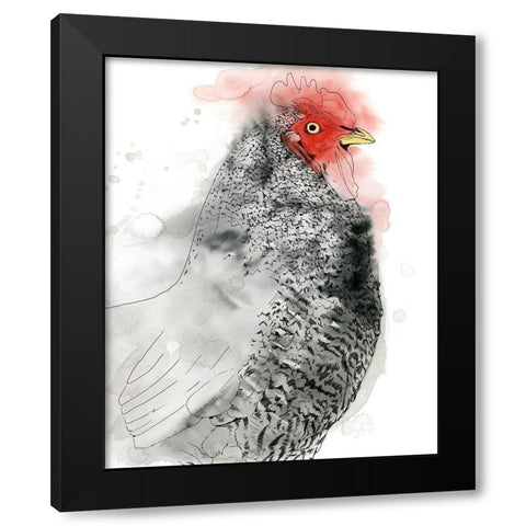 Plymouth Rooster II Black Modern Wood Framed Art Print with Double Matting by Popp, Grace