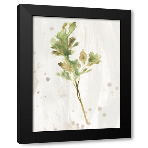 Antique Earthtone Herbs I Black Modern Wood Framed Art Print by Vess, June Erica