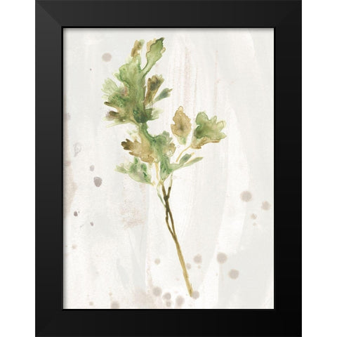 Antique Earthtone Herbs I Black Modern Wood Framed Art Print by Vess, June Erica