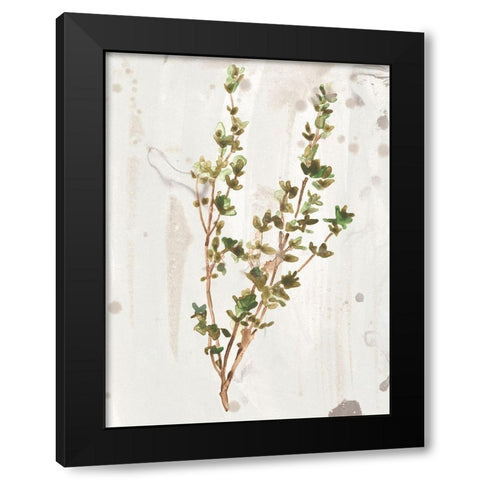 Antique Earthtone Herbs II Black Modern Wood Framed Art Print with Double Matting by Vess, June Erica