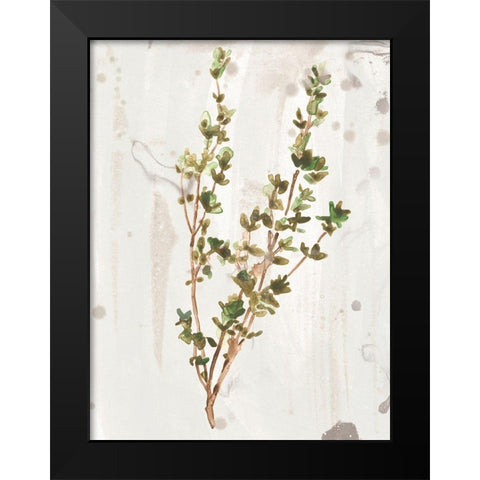 Antique Earthtone Herbs II Black Modern Wood Framed Art Print by Vess, June Erica
