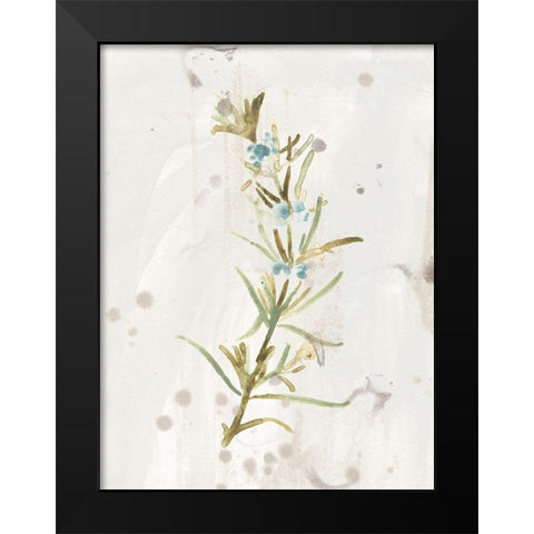 Antique Earthtone Herbs III Black Modern Wood Framed Art Print by Vess, June Erica