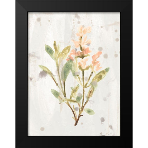 Antique Earthtone Herbs IV Black Modern Wood Framed Art Print by Vess, June Erica