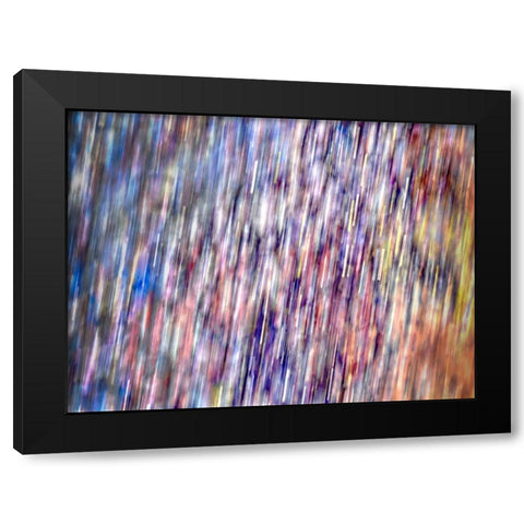 Bohemian Spirits II Black Modern Wood Framed Art Print by Bane, Eva