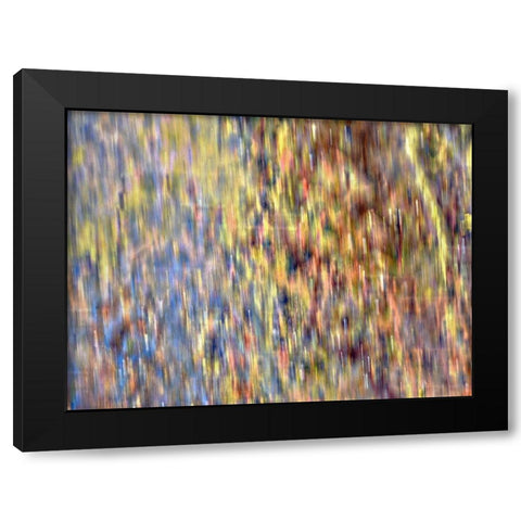 Bohemian Spirits IV Black Modern Wood Framed Art Print by Bane, Eva