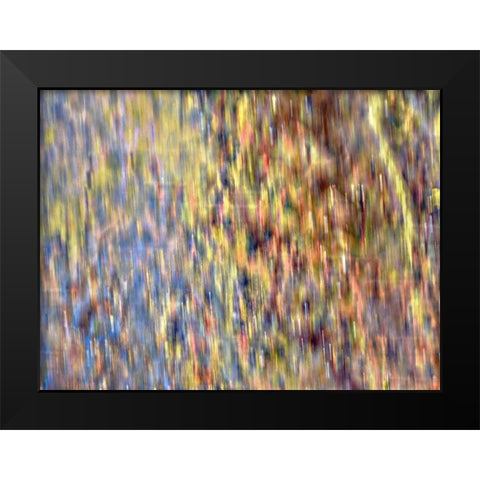 Bohemian Spirits IV Black Modern Wood Framed Art Print by Bane, Eva
