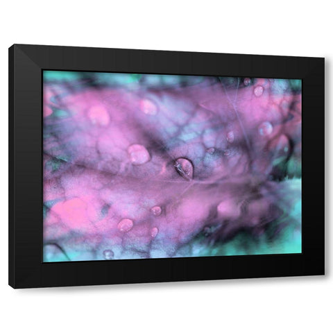 Celestial Dew Drops I Black Modern Wood Framed Art Print with Double Matting by Bane, Eva