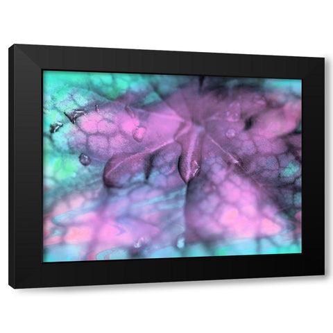 Celestial Dew Drops II Black Modern Wood Framed Art Print with Double Matting by Bane, Eva