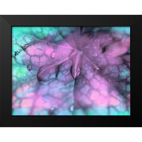 Celestial Dew Drops II Black Modern Wood Framed Art Print by Bane, Eva