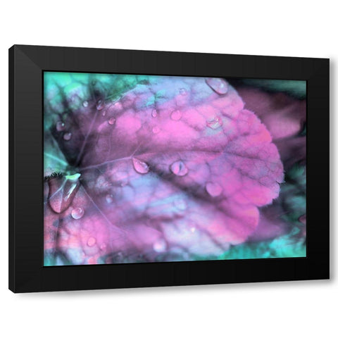 Celestial Dew Drops III Black Modern Wood Framed Art Print by Bane, Eva