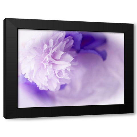 Dreamy Florals in Violet I Black Modern Wood Framed Art Print by Bane, Eva