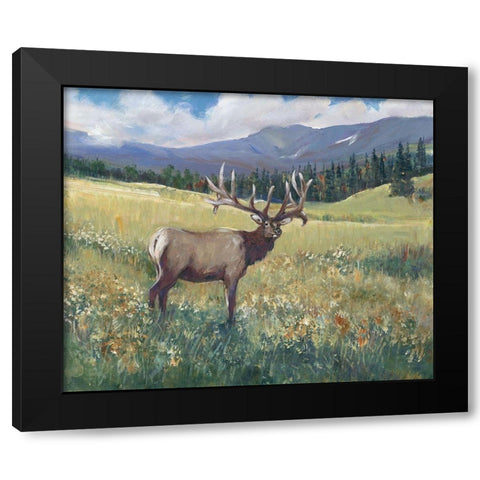 Rocky Mountain Elk I Black Modern Wood Framed Art Print by OToole, Tim