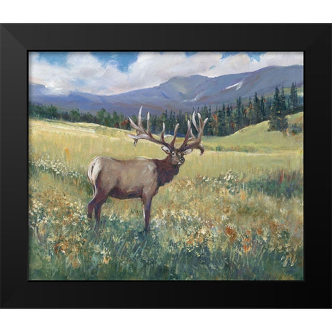 Rocky Mountain Elk I Black Modern Wood Framed Art Print by OToole, Tim